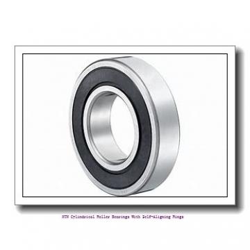 NTN R2674V Cylindrical Roller Bearings With Self-Aligning Rings