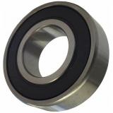 Auto / Agricultural Machinery Ball Bearing Miniature Deep Groove Ball Bearing High Temperature Bearing 6001 6002 6003 6004 6201 6202 6203 6204 Zz 2RS C3